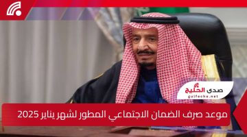 وزارة الموارد البشرية تكشف تفاصيل قرار إيداع 1500 ريال.. لمستفيدي الضمان المطور مع بداية يناير وعودة المساعدة المقطوعة بالزيادة