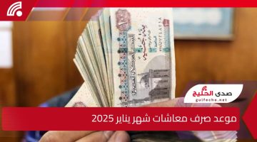 جهز محفظتك.. موعد صرف معاشات شهر يناير 2025 والتأمينات تزف بشرى سارة للمواطنين