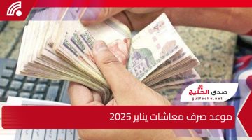 “جهز المحفظة” موعد صرف معاشات يناير 2025 مع الزيادة الأخيرة ورابط الاستعلام