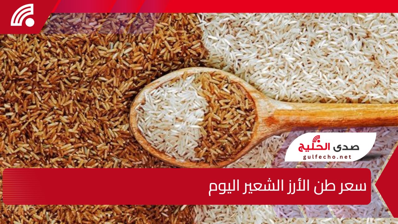 “بكل أنواعه” سعر طن الأرز الشعير اليوم 21 ديسمبر وأسعار أهم السلع الغذائية