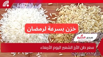 الرفيع والعريض بكام؟.. سعر طن الأرز الشعير اليوم الأربعاء 25-12-2024 يخالف التوقعات!