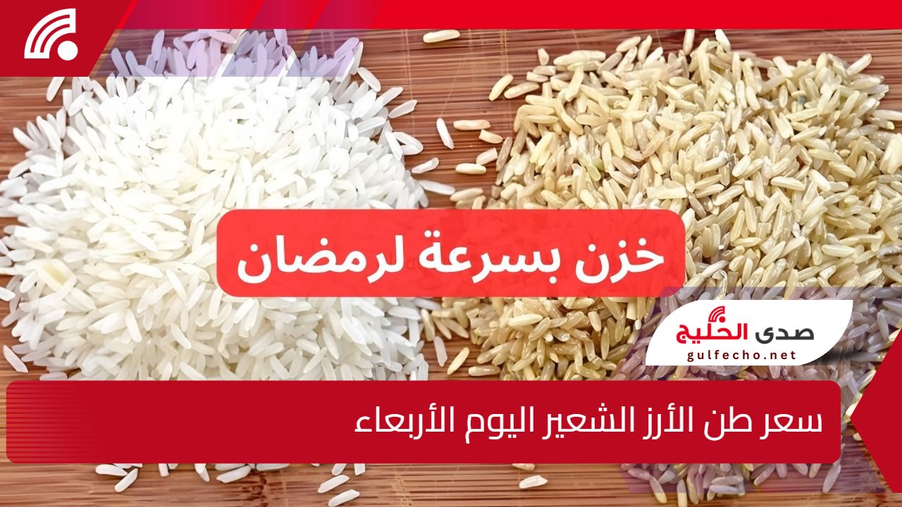 الرفيع والعريض بكام؟.. سعر طن الأرز الشعير اليوم الأربعاء 25-12-2024 يخالف التوقعات!