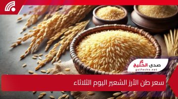 “بكام الرفيعة والعريضة”.. سعر طن الأرز الشعير اليوم الثلاثاء 17-12-2024 والأبيض في التعاملات