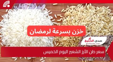 “خزن لشهر رمضان في الرخص”.. سعر طن الأرز الشعير اليوم الخميس.. أسعار الأرز الأبيض!