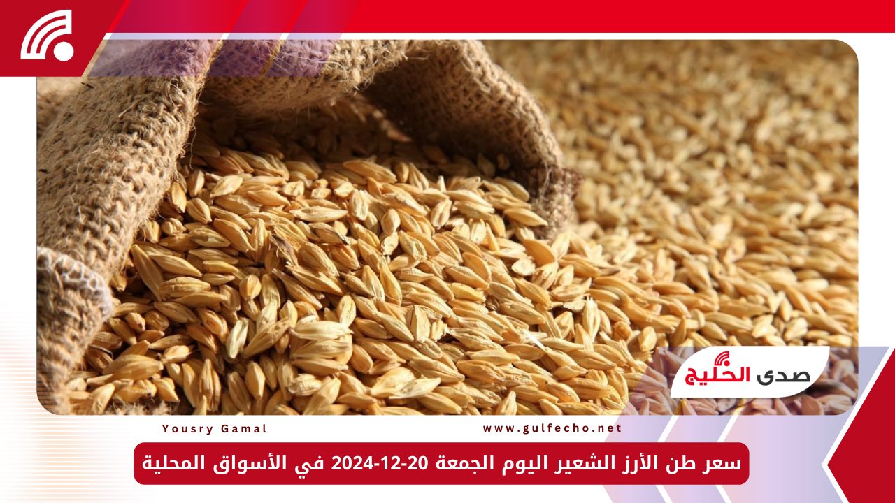 سعر طن الأرز الشعير اليوم الجمعة 20-12-2024 في الأسواق المحلية