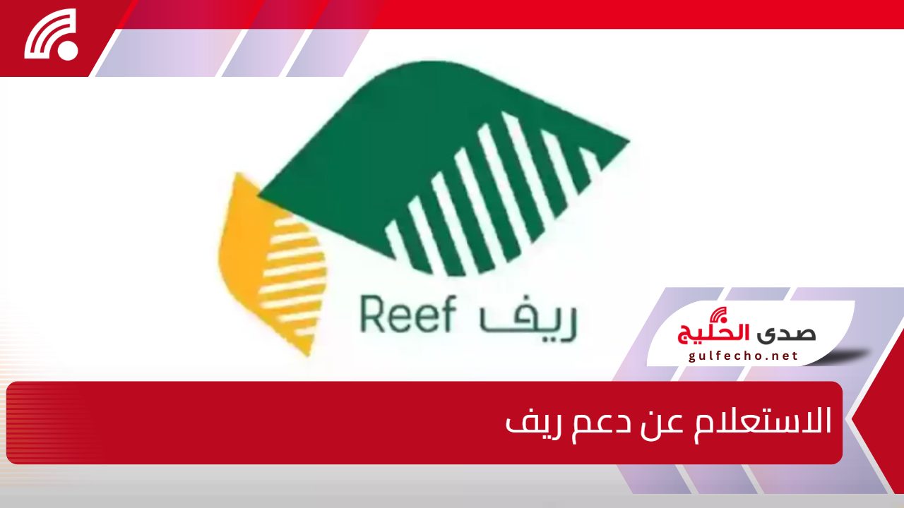 “كله أونلاين من البيت”.. استعلام عن دعم ريف..الطريقة والشروط والأوراق المطلوبة