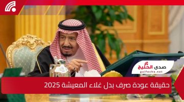 “أفرح يا سعودي”.. إليك حقيقة عودة صرف بدل غلاء المعيشة 2025 وما هي خطوات الاستعلام عن أهلية الضمان الاجتماعي المطور ؟