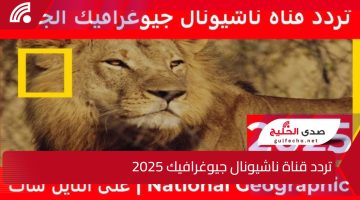 “متعة الطبيعة الخلابة”.. تردد قناة ناشيونال جيوغرافيك 2025 على النايل وعرب سات وأهم مميزاتها