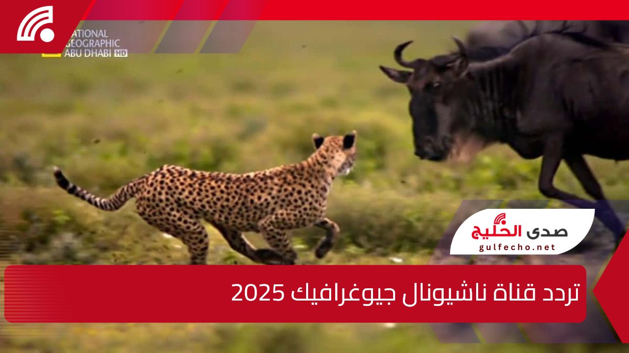 لعشاق الطبيعة.. تردد قناة ناشيونال جيوغرافيك 2025 على النايل سات وعرب سات