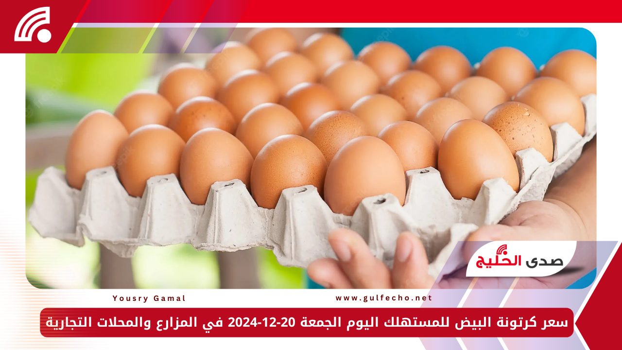 سعر كرتونة البيض للمستهلك اليوم الجمعة 20-12-2024 في المزارع والمحلات التجارية