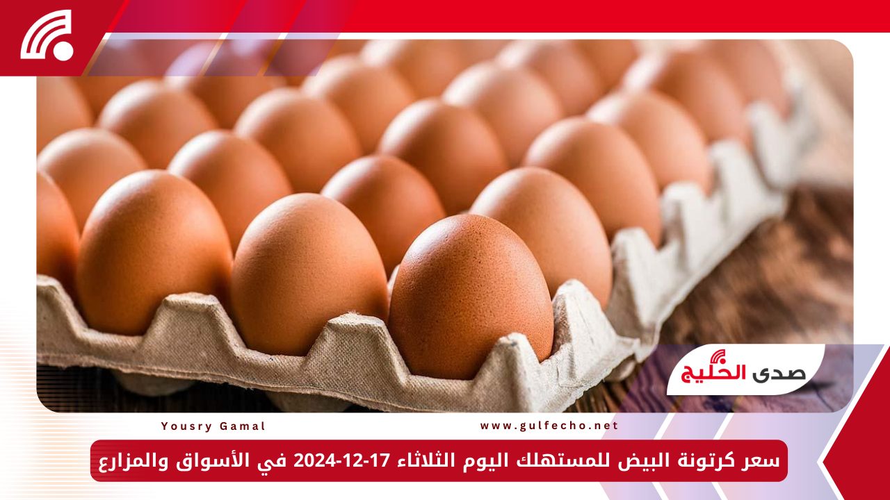 سعر كرتونة البيض للمستهلك اليوم الثلاثاء 17-12-2024 في الأسواق والمزارع