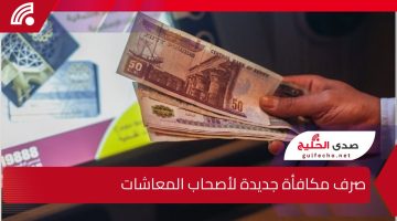 “بشرى سارة لهذه الفئة”.. صرف مكافأة 3 أشهر للمحاليين للمعاش مقابل الإجازات الاعتيادية وعلاوة خاصة للموظفين