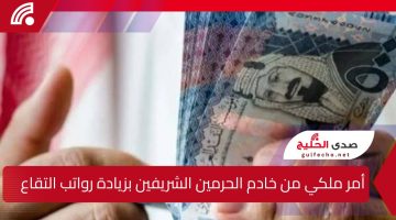 أمر ملكي من خادم الحرمين الشريفين بزيادة راتب التقاعد بداية من يناير 2025 بقيمة 750 ريال.. مؤسسة التقاعد توضح