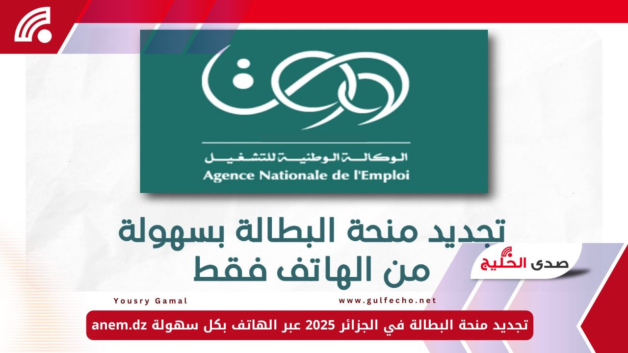 تجديد منحة البطالة في الجزائر 2025 عبر الهاتف بكل سهولة anem.dz