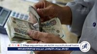 صرف مرتبات شهر ديسمبر 2024 في مصر