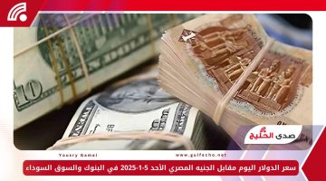 سعر الدولار اليوم مقابل الجنيه المصري الأحد 5-1-2025 في البنوك والسوق السوداء