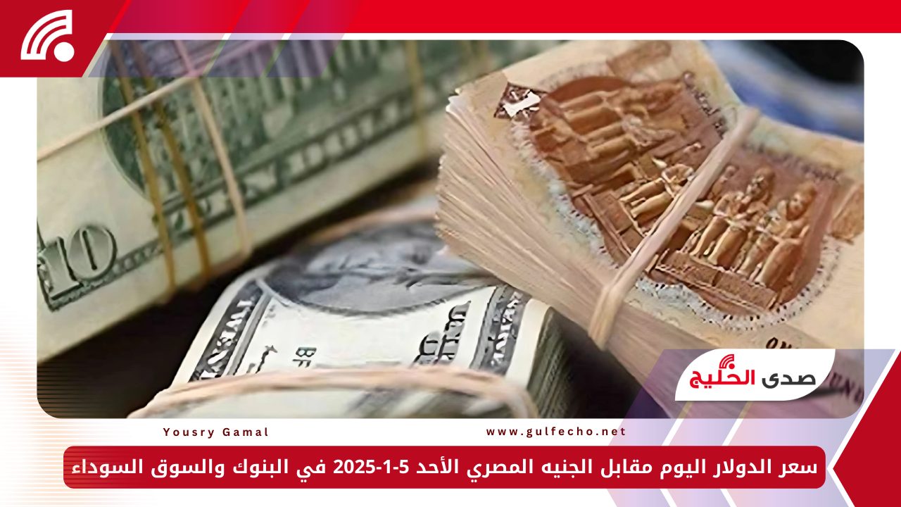 سعر الدولار اليوم مقابل الجنيه المصري الأحد 5-1-2025 في البنوك والسوق السوداء