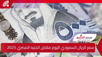 وفق آخر التحديثات … سعر الريال السعودي اليوم مقابل الجنيه المصري 2025 والعملات الأجنبية