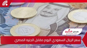 “ارتفاع أم انخفاض” سعر الريال السعودي اليوم مقابل الجنيه المصري السبت 4 يناير