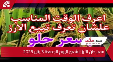 “الاسعار ضربت في السما”.. سعر طن الأرز الشعير اليوم الجمعة 3 يناير 2025 وسعر الخضروات والفواكه بالأسواق المصرية