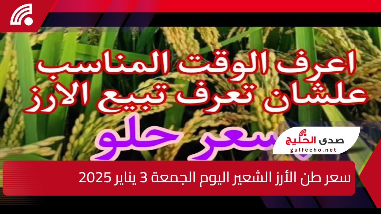 “الاسعار ضربت في السما”.. سعر طن الأرز الشعير اليوم الجمعة 3 يناير 2025 وسعر الخضروات والفواكه بالأسواق المصرية